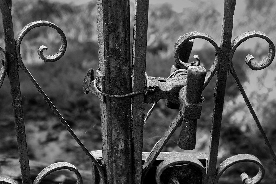 Detail of the fastening on an iron gate.